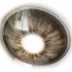 Able Grey  /   2 läätse , 0.00 tugevused